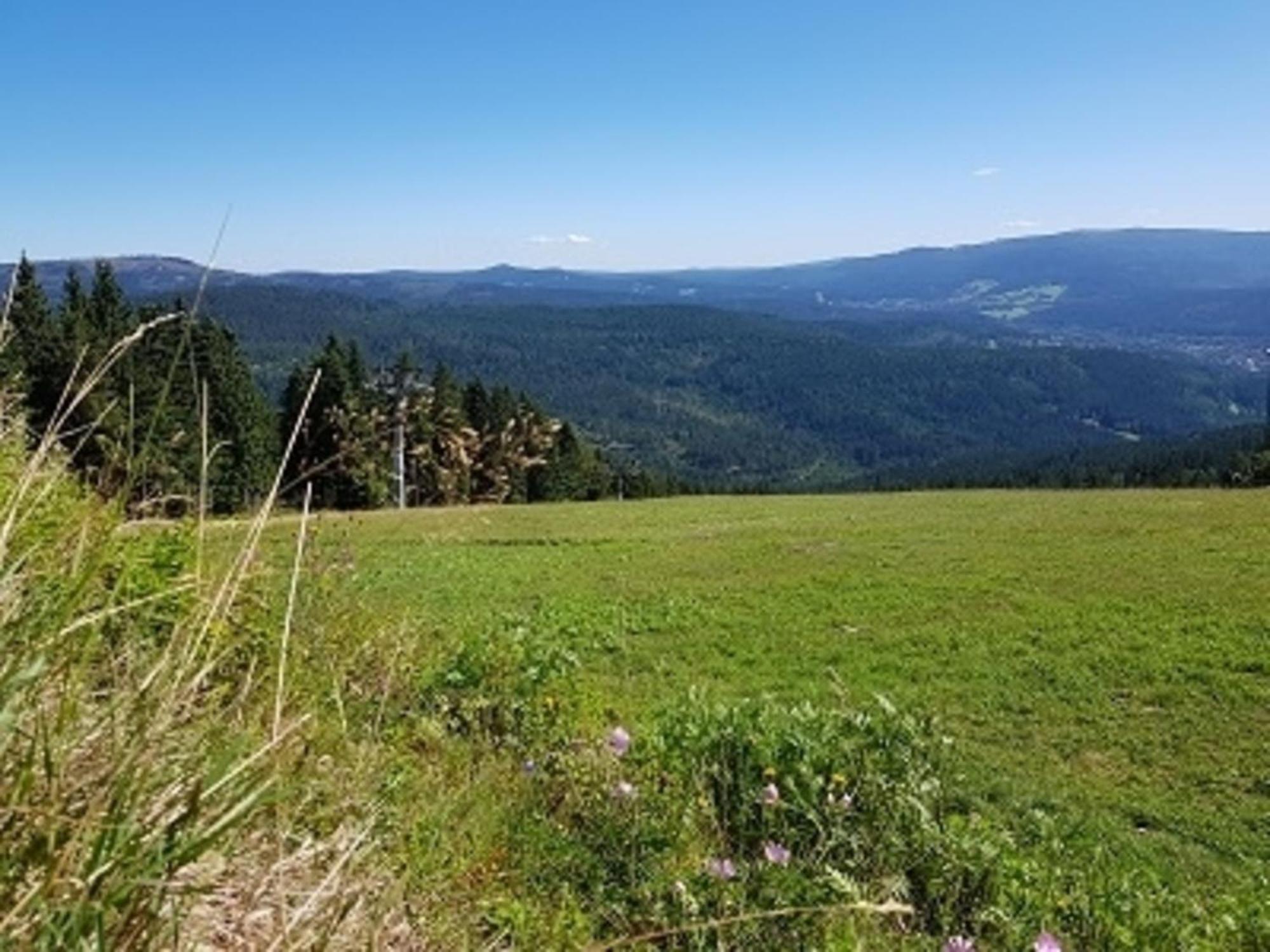 Ferienwohnung Augustin Kirchberg  Luaran gambar